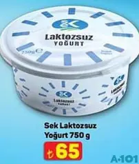 SEK LAKTOZSUZ YOĞURT 750 GR